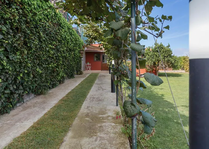 Casa Jica La Orotava