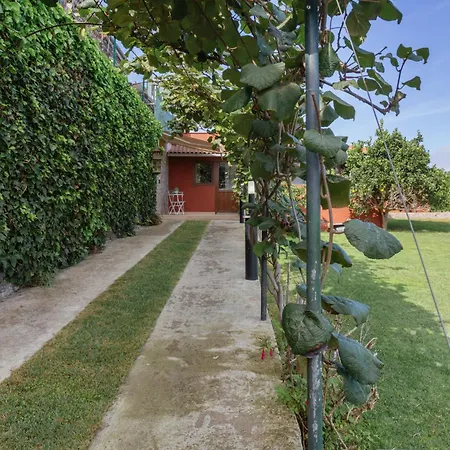 Casa Jica Vakantiehuis La Orotava
